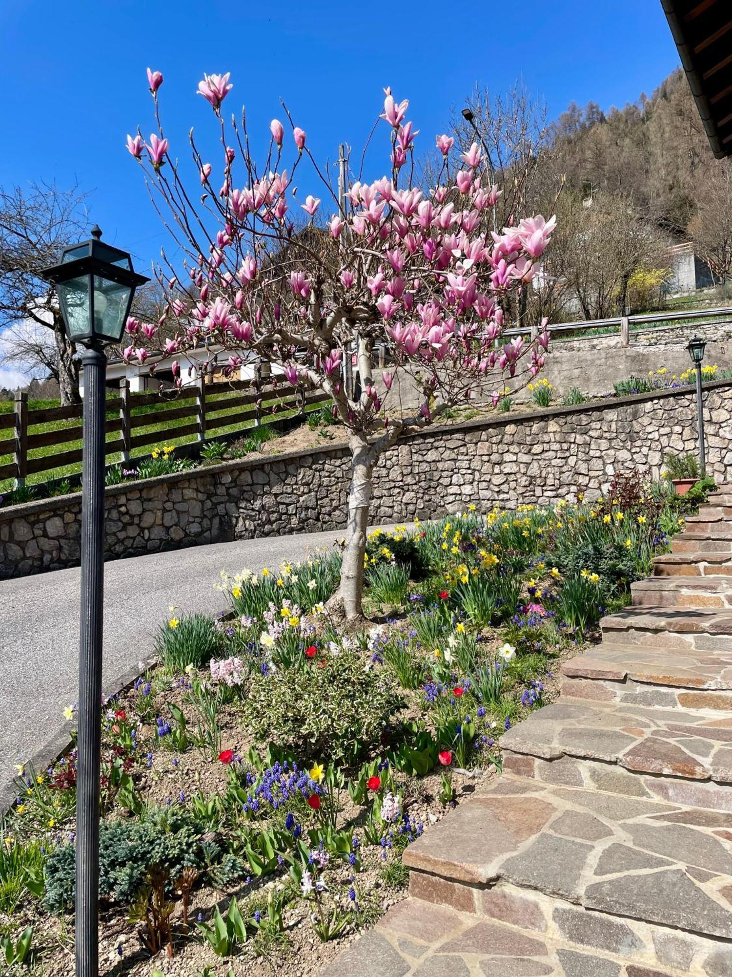 Ca Borghetto Hotel Venas Exterior foto